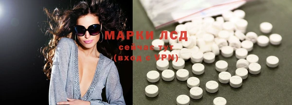 индика Белокуриха