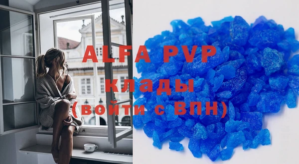 индика Белокуриха