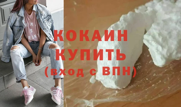 индика Белокуриха