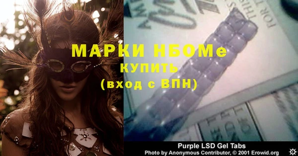 индика Белокуриха